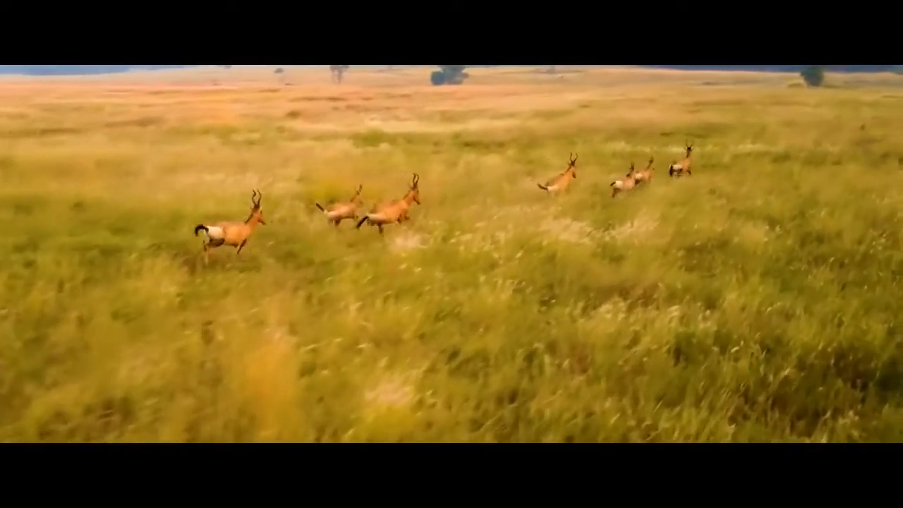 Le Parc Kruger Afrique du Sud on Vimeo -SkoleToon's